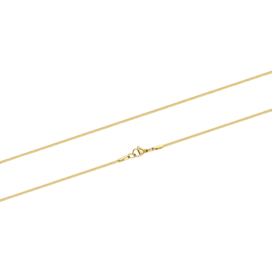 2mm Gold Flat Snake Chain