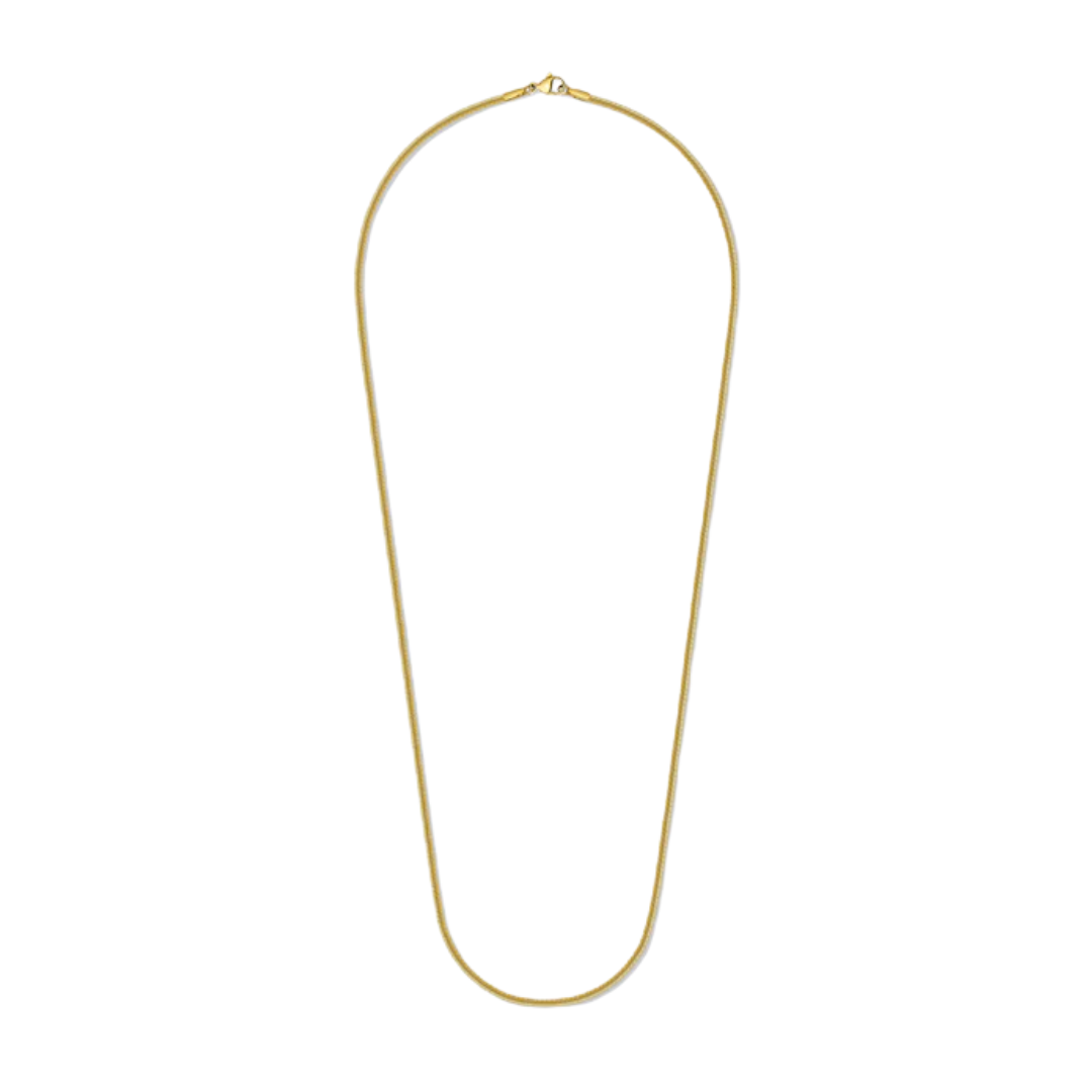 2mm Gold Flat Snake Chain