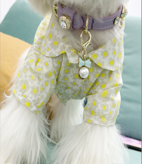 Luxury Dog Collar Bling