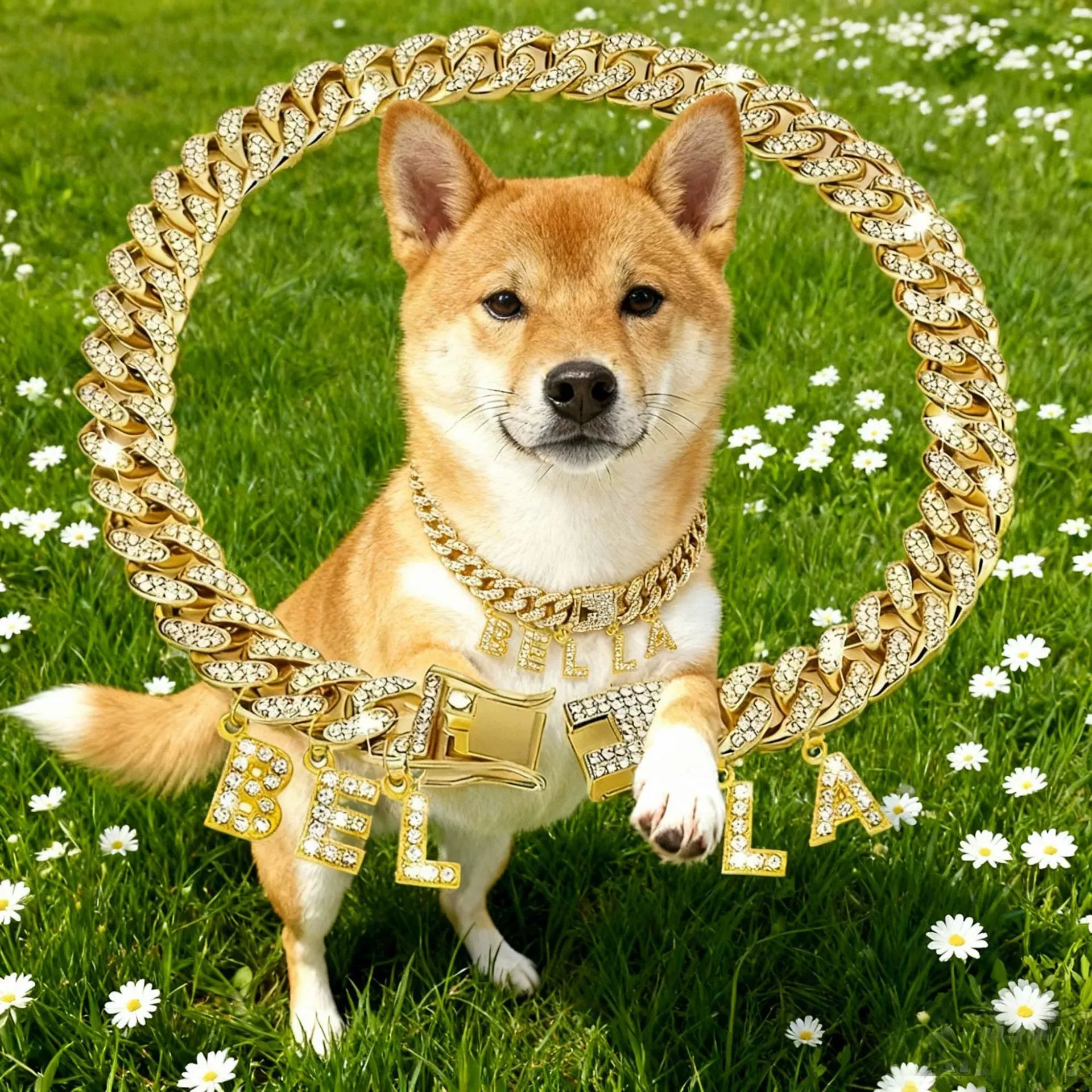 Custom Letter Cuban Chain Dog Chain